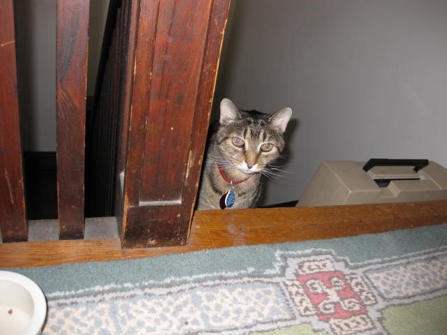 Gulliver on the stairs